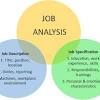 1005 head of financial analysis jobs and careers on totaljobs. 1