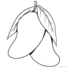 Mewarnai gambar buah buahan pdf. Coloring Mango Drawing For Kids Novocom Top