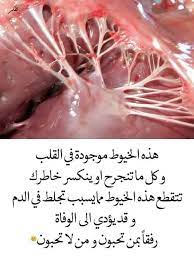 pin by صورة و كلمة on كلمات راقت لي quotes beautiful disney quotes life habits disney quotes