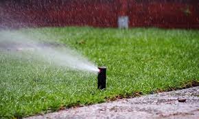 In contrast, the premade drip irrigation stakes are a buck a pop. Why You Need To Install A Backflow Preventer On Your Lawn Sprinkler System
