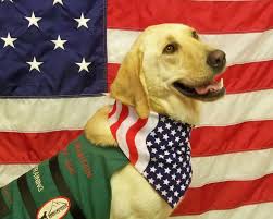 Get just the basic approval letter or save big on packages that include important products. Service Dogs For Veterans Smoky Mountain Service Dogs Tennessee