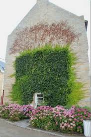 Dovi Land On Fb Vertical Garden Landscape Design Beautiful Gardens