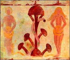 Medieval Manuscript Equating The Tree Of Life With The Amanita Mushroom Stuffed Mushrooms Mushroom Art Visionary Art
