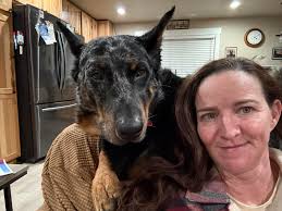 Mauser Riverrims Beauceron