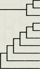 Image result for Helichrysopsis