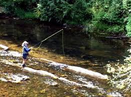 Fly Fishing The Chattooga River For Trout
