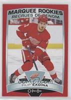 Get the perfect look to let everyone know you are a true detroit red wings fan with this filip zadina detroit red wings men's adidas authentic red home jersey! Filip Zadina Hockey Cards