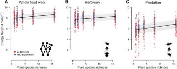 Stories and articles related to residential pest control services. Biodiversity Enhances The Multitrophic Control Of Arthropod Herbivory Science Advances