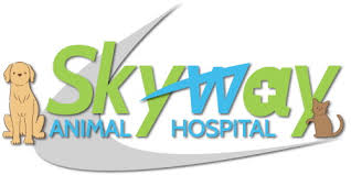 At skyway animal hospital inc. Skyway Animal Hospital Inc Animal Hospital In St Petersburg Fl