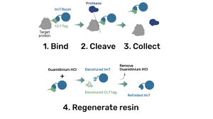 Thermo scientific thermoflex 900 recirculating chiller our. Fplc Column Pre Loaded Lm7 Resin Crosslinked To Agarose 4b Beads Nucleus Biotech