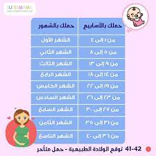 بالجدول كيفية حساب فترة الحمل بالأسابيع وبالأشهر baby tumblr baby health baby education