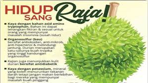 'they won't make fun of me ever again,' says dr. Dr Suri Roowi Apa Yang Anda Perlu Tahu Sebelum Makan Durian Sepit Biru