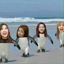 Blackpink Ile Gerilmeceler Komik Fotograflar Komik Insanlar Komik Capsler