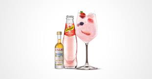 Geviertelte erdbeere dazugeben und vorsichtig. Co Brands Award 2015 Geht An Lillet Und Schweppes