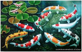 Koifengshui instagram posts gramha net. Gambar Ikan Koi Menurut Feng Shui Radea