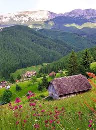 Airbnb estimeaza ca romania va cunoaste in 2020 o crestere a rezervarilor de 298% fata de anul 2019. Moeciu De Sus Brasov Romania Romania Travel Visit Romania Brasov Romania