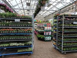 Population annexed to central cities of standard metropolitan statistical areas in the united states between 1960 and 1970. Metropolitan Plant And Flower Exchange 471 Nj 10 West Orange Nj 07052 Usa