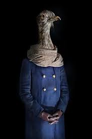 Critter Chic These Wild Animals Dress Like People Humans Clothes People Clothes Pet Clothes