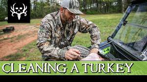 Slide your knife under the clump and remove the tail fan. How To Clean A Turkey The Easy Way Youtube