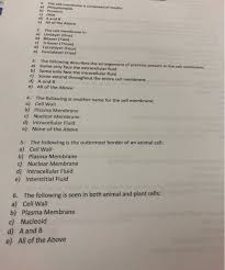 Check spelling or type a new query. The Cell Membrane Is Composed Of Mostly A Chegg Com