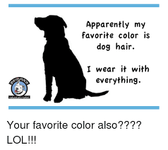 We did not find results for: Apparently My Favorite Color Is Dog Hair I Wear It With Everything Natura Pet Market Your Favorite Color Also Lol Apparently Meme On Me Me