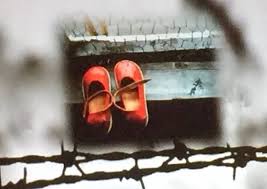 Per ricordare il 27 gennaio 1945 quando le in italia il giorno della memoria è nato ufficialmente nel 2000, cinque anni prima rispetto alla ricorrenza. Giorno Della Memoria Gli Studenti Posano Una Targa Per Sophie Scholl