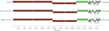 Giao nhanh, đem nhiều mẫu chọn, cà thẻ tại nhà A New Coronavirus Associated With Human Respiratory Disease In China Nature