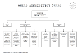 Wheat Sensitivity Chart The Sourdough School