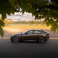 Image result for Marrone Luci Di Bosco 2008 159