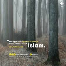 Jelas, tuhannya israel lebih canggih. Ali Imran 19 Sesungguhnya Agama Yang Diridhai Disisi Allah Hanyalah Islam Tiada Berselisih Orang Orang Yang Telah Diberi Al Ki Islamic Quotes Islam Quran