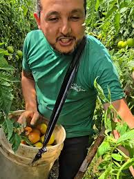 Verduras Salazar (@verduras_salazar)