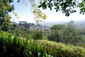 Rhodes memorial, cape town central south africa. Tea Garden Charm At Rhodes Memorial Lanalou Style Charming Garden Tea Garden Memories