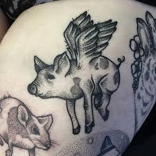Image result for pigs, hogs, cows to fly