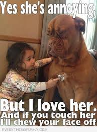 Everything Funny Dogs And Kids Funny Animal Pictures Cute Animals