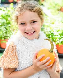 Franklin Farmers Market