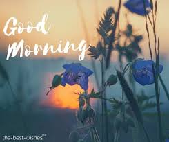 110 Beautiful Good Morning Wishes For Friday Best Images The morning is a wonderful time marking a new beginning of the day. 110 beautiful good morning wishes for