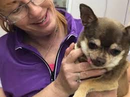 Fundraiser by Christina Todd : Crippled and Unemployed in a Moment