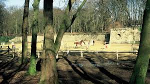 Foret De Saint Germain En Laye