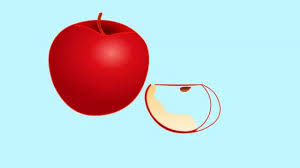 Koleksi gambar sketsa apel aliransket. 4 Cara Untuk Menggambar Apel Wikihow