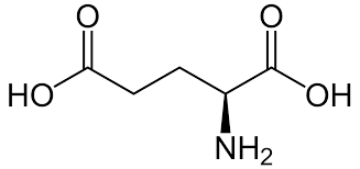 Diskutiert zu unseren artikeln im portal. Glutaminsaure Wikipedia