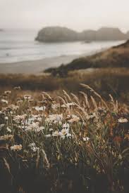 Aesthetic wallpaper brown and green. Phone Wallpapers 100 Best Free Wallpaper Green Lock Screen Background And Forest Photos On Uns Nature Aesthetic Aesthetic Wallpapers Beautiful Wallpapers