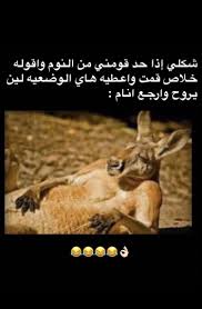 Pin By ف On Y9 7k Funny Words Funny Dude Arabic Love Quotes