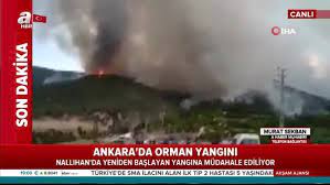10.07.2019 23:19 | son güncelleme: Son Dakika Ankara Da Orman Yangini Video Videosunu Izle Son Dakika Haberleri