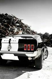 Ford Mustang Fastback 1969 Re Pin Brought To You By Carinsuranceagents At Houseofinsurance In Eu Mustang Cars Mustang Fastback Ford Mustang Fastback