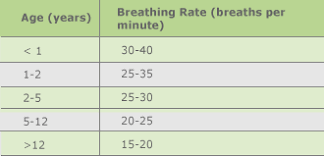 heart and breathing rate human respiration rate