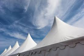 Viewpoint The Big Tent Approach Being Ready Willing And Capable To Contribute To Family Enterprise Big Tents Northwestern University Enterprise