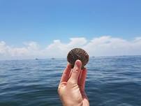 Scalloping Dayaways! | MarineMax St. Petersburg