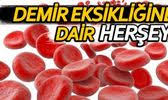 Pin On Bilgiler