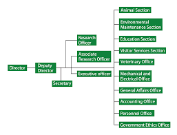 taipei zoo organization taipei zoo organizational structure