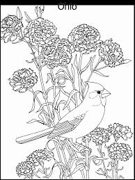 Free, printable mandala coloring pages for adults in every design you can imagine. Coloring Pages Of Flowers And Birds 3 Free Printable Coloring Pages Coloring Library